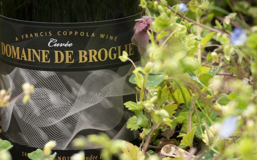 Domaine De Broglie Q and A with Jon Meola