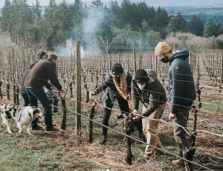 Pruning -2