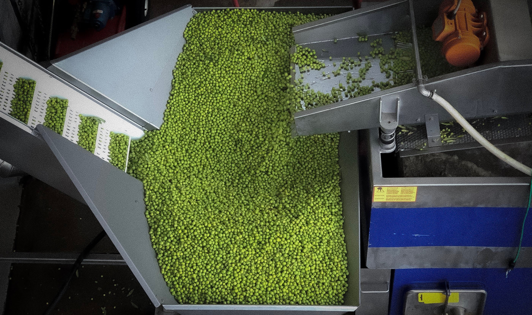 OLIVE-MILL