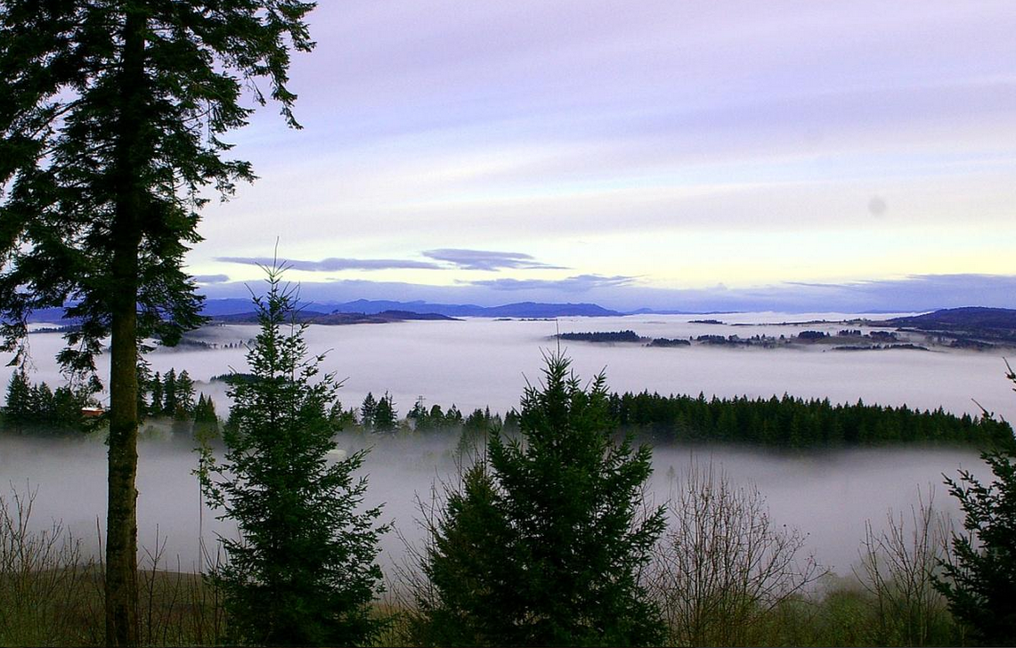 Vista