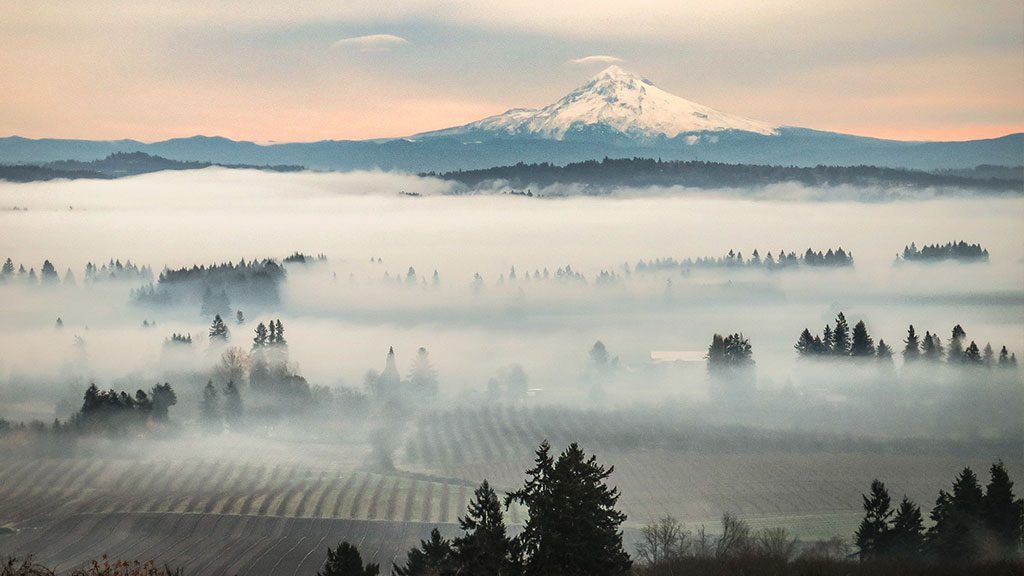 Wineries-Oregon-Winemaker-Tours