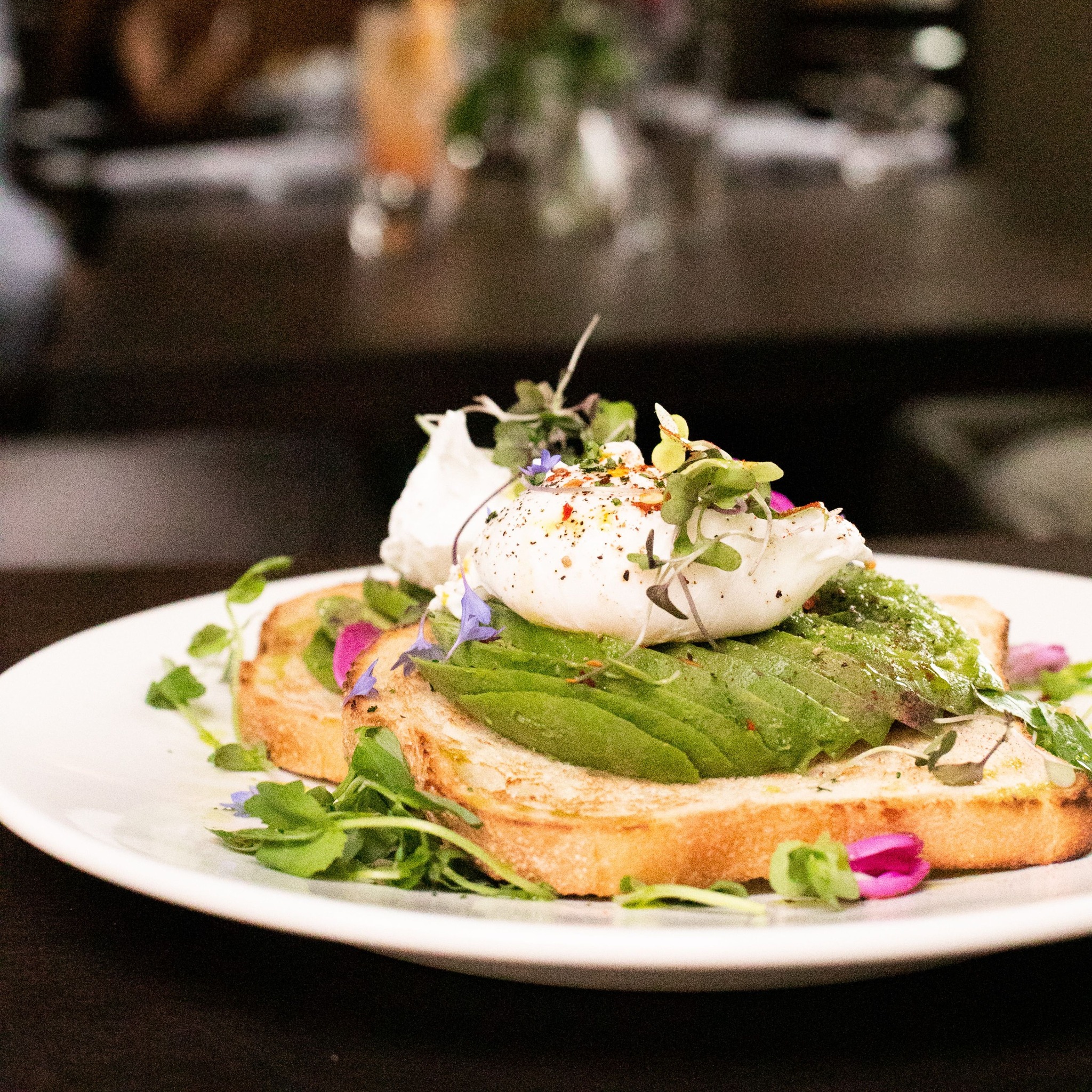 field and stream avocado toast