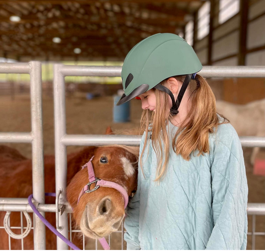 Right sized - horse
