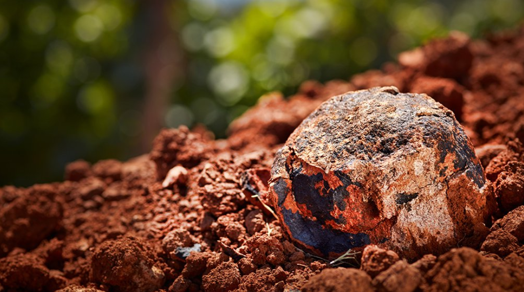 The downright DIRT-Y truth about the Willamette Valley’s Soil