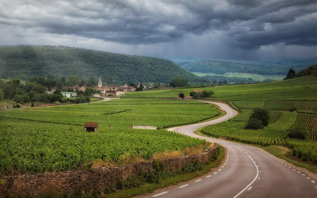 Discover Wine de Roads: The Premier Cycling Wine Tour Experience in Oregon