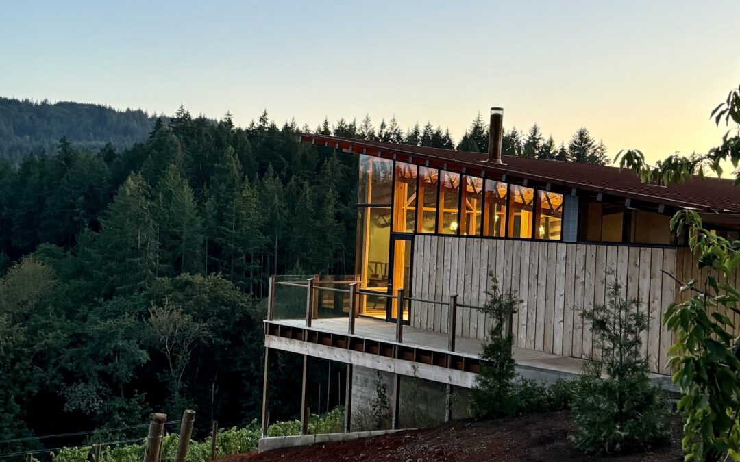 Winery Spotlight: Late Sky