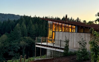Winery Spotlight: Late Sky