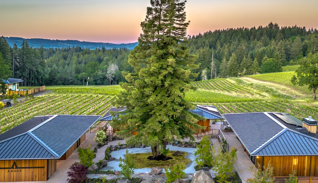 Winery Spotlight: Ambar Estate